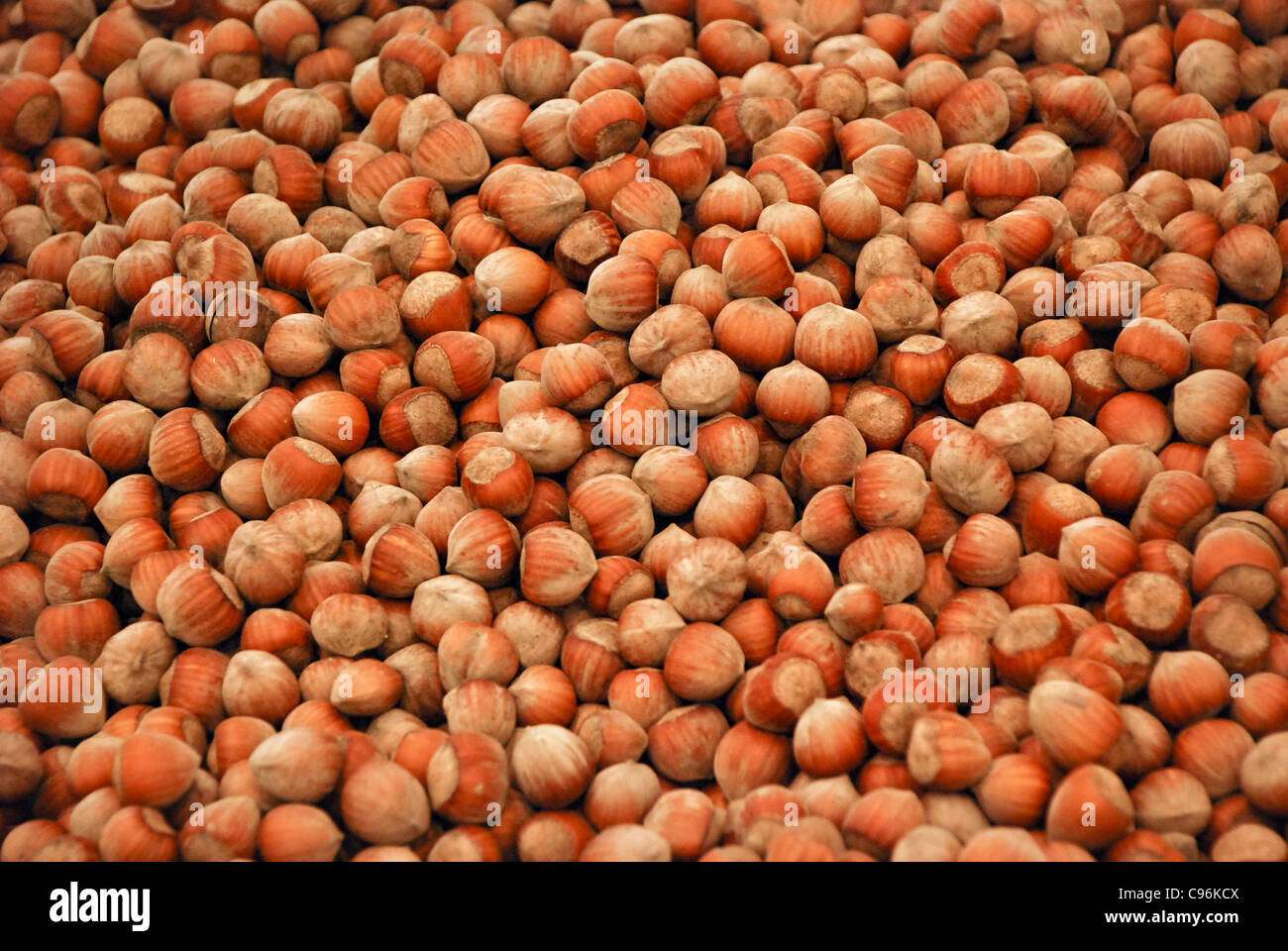 Hazelnuts. Fruits, vegetables, nuts and other healthy food Stock Photo
