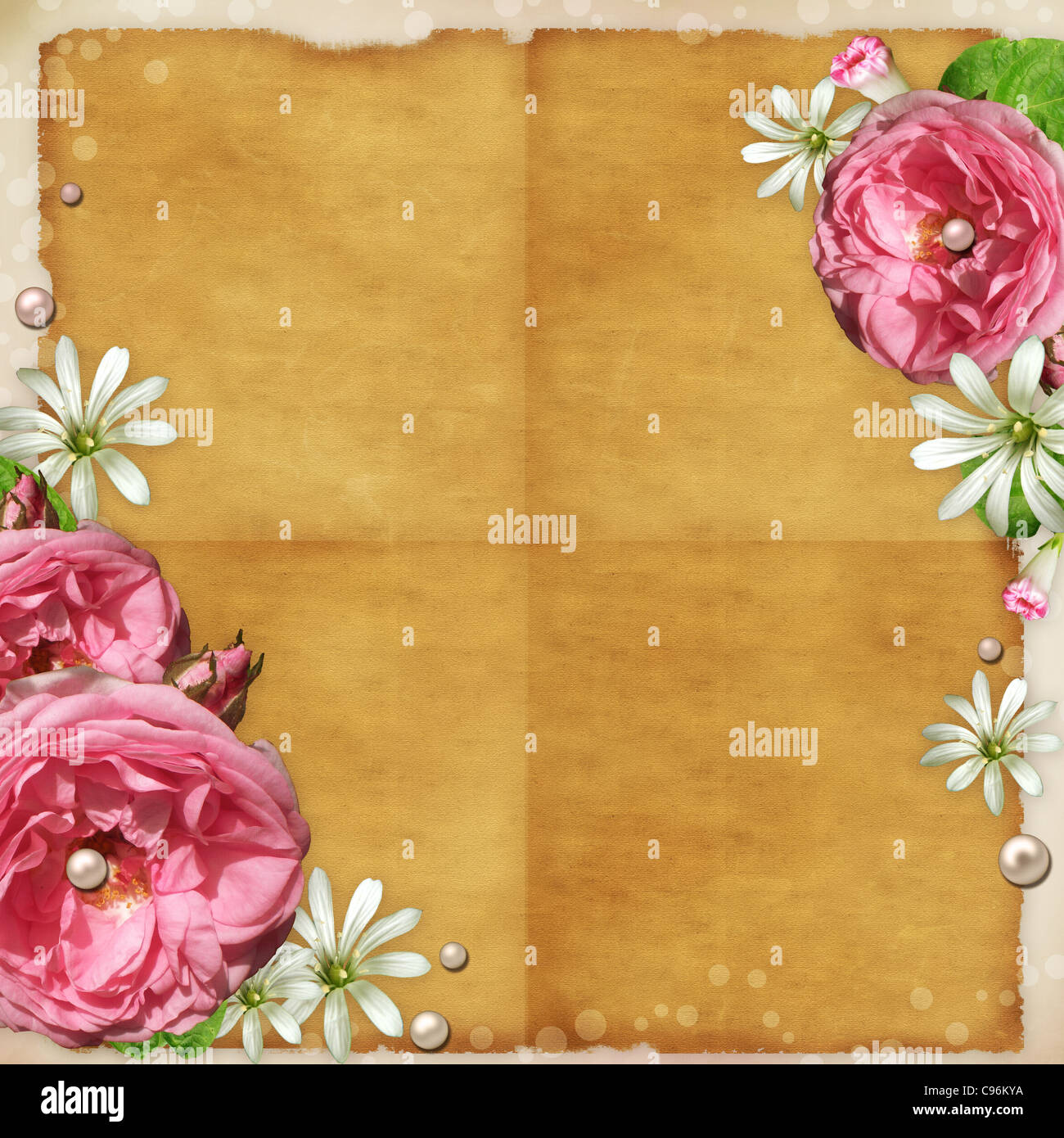 Vintage Photo Frame with pink roses and pearls Stock Photo - Alamy