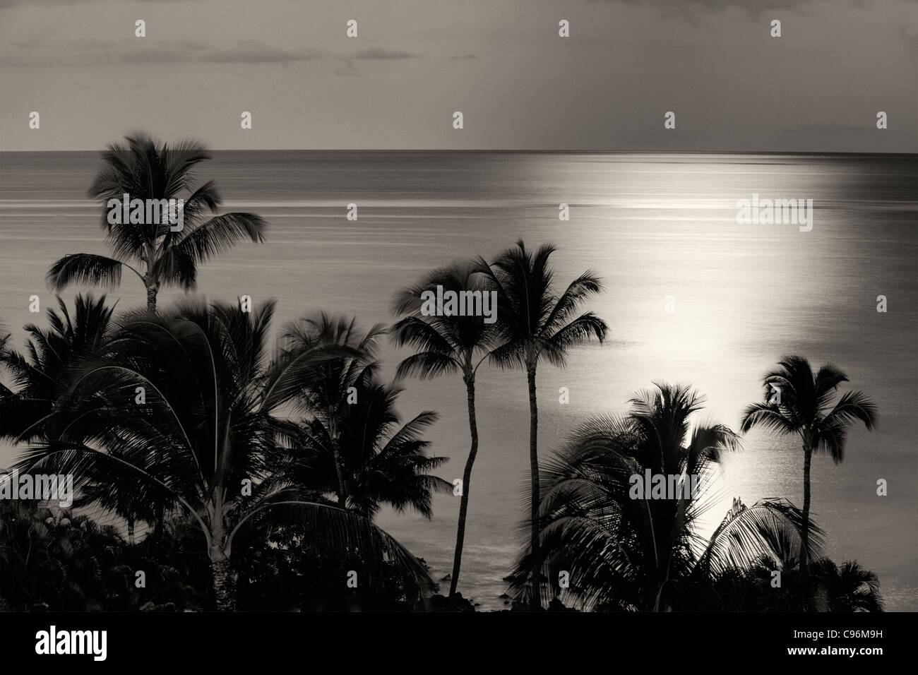 Moon setting over ocean with palm trees. Maui, Hawaii Stock Photo - Alamy
