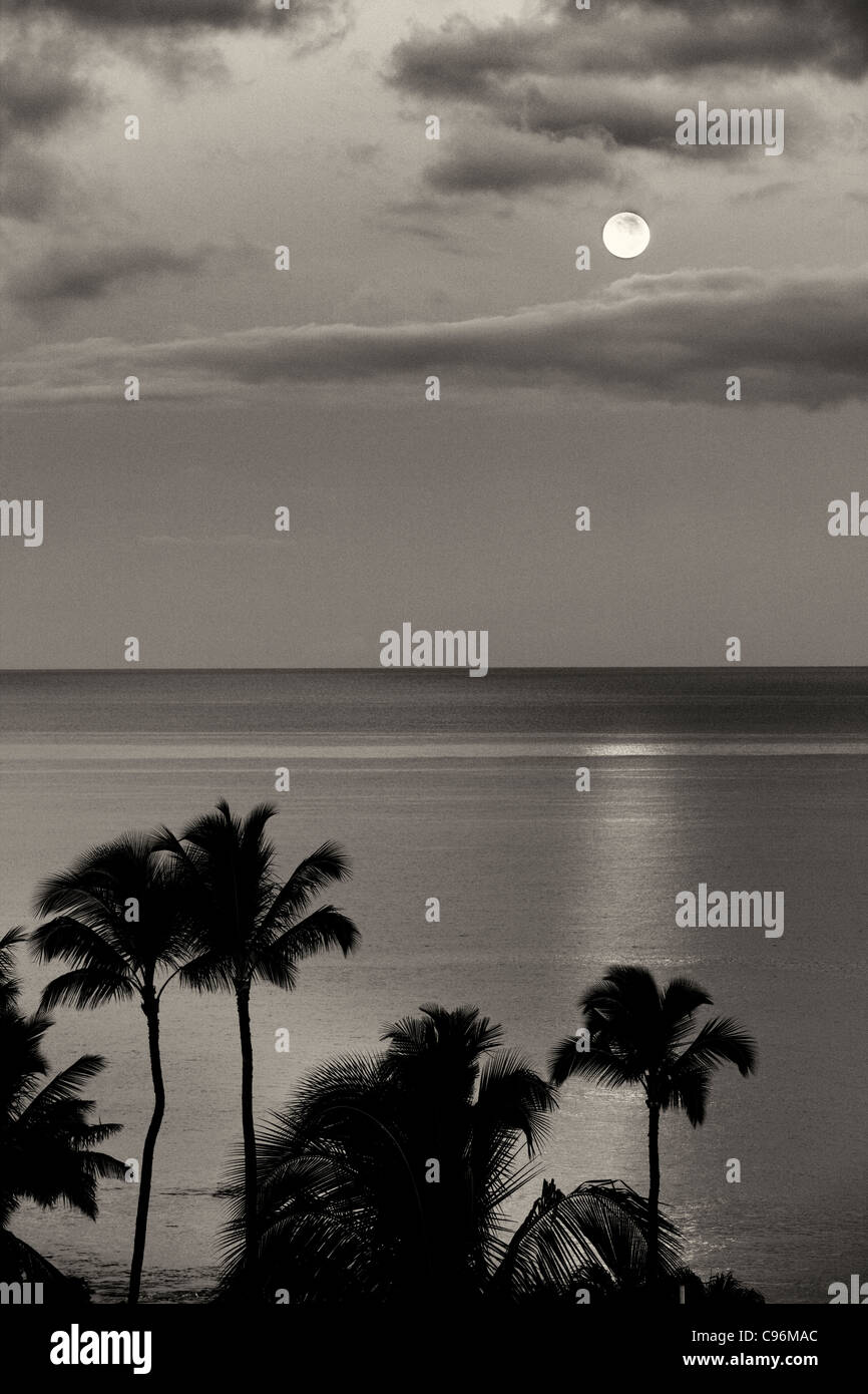 Moon setting over ocean with palm trees. Maui, Hawaii Stock Photo