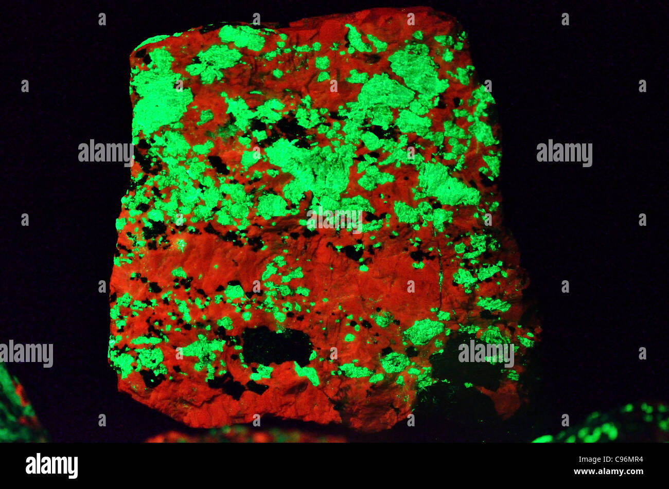 Fluorescent minerals willemite  (zinc silicate Zn2SiO4) glowing green under UV light. Calcite in red color. Stock Photo
