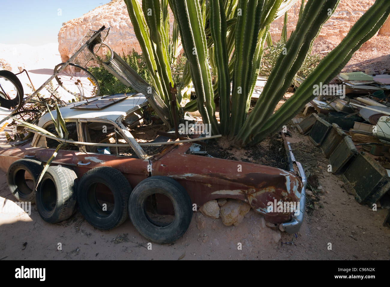 Cactii growing out of a wrecked car in the quirky desert garden of Crocodile Harry.  Coober Pedy, South Australia, Australia Stock Photo