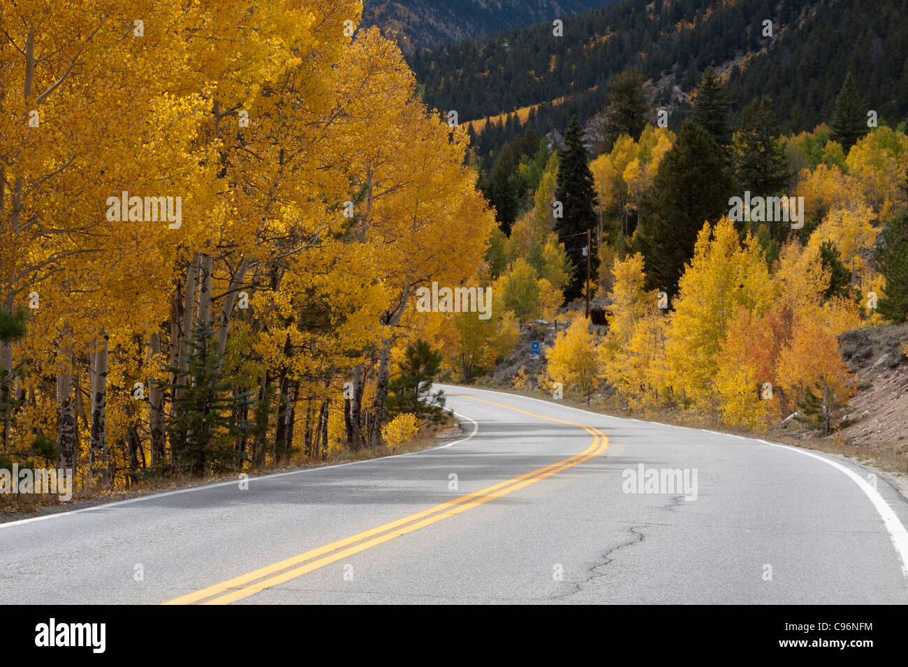 Scenic curved road through Colorado Rocky Mountains with golden yellow