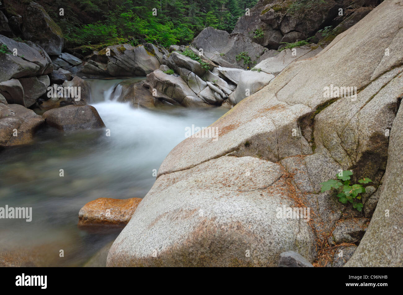 South Fork Snoqualmie River in the Mount Baker-Snoqualmie National Forest, Washington, USA Stock Photo