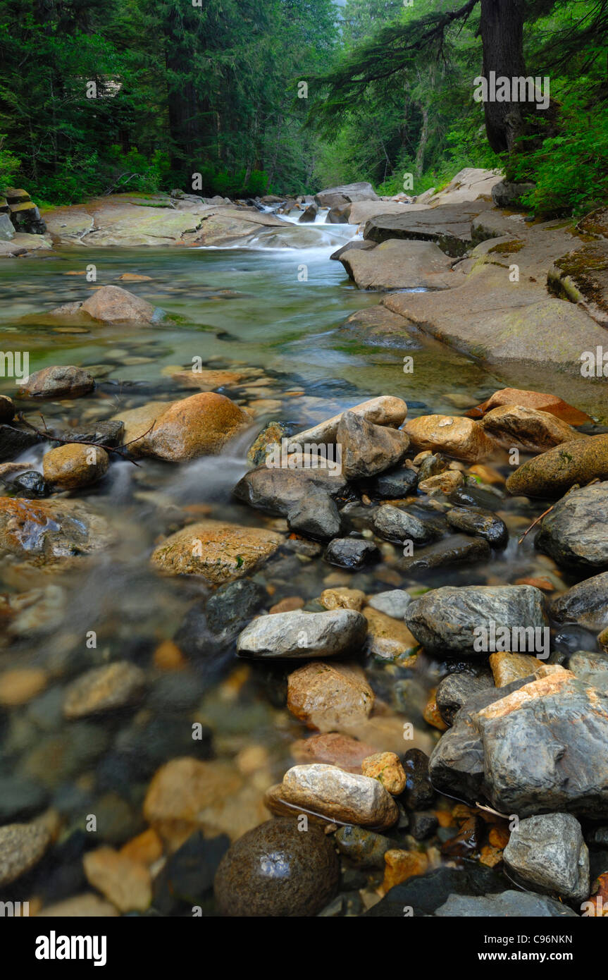 South Fork Snoqualmie River in the Mount Baker-Snoqualmie National Forest, Washington, USA Stock Photo