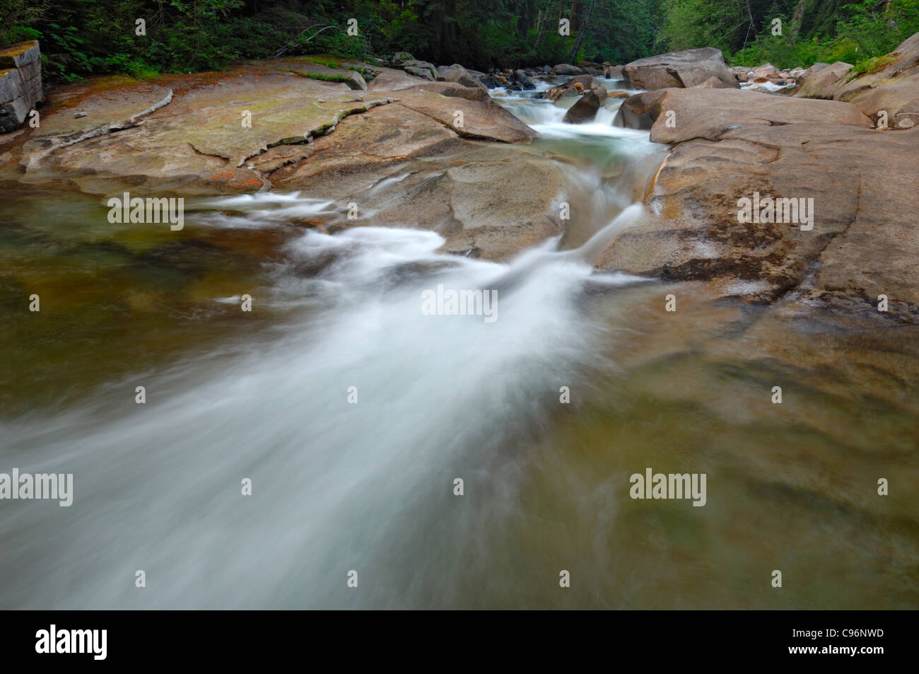 South Fork Snoqualmie River in the Mount Baker-Snoqualmie National Forest, Washington, USA Stock Photo