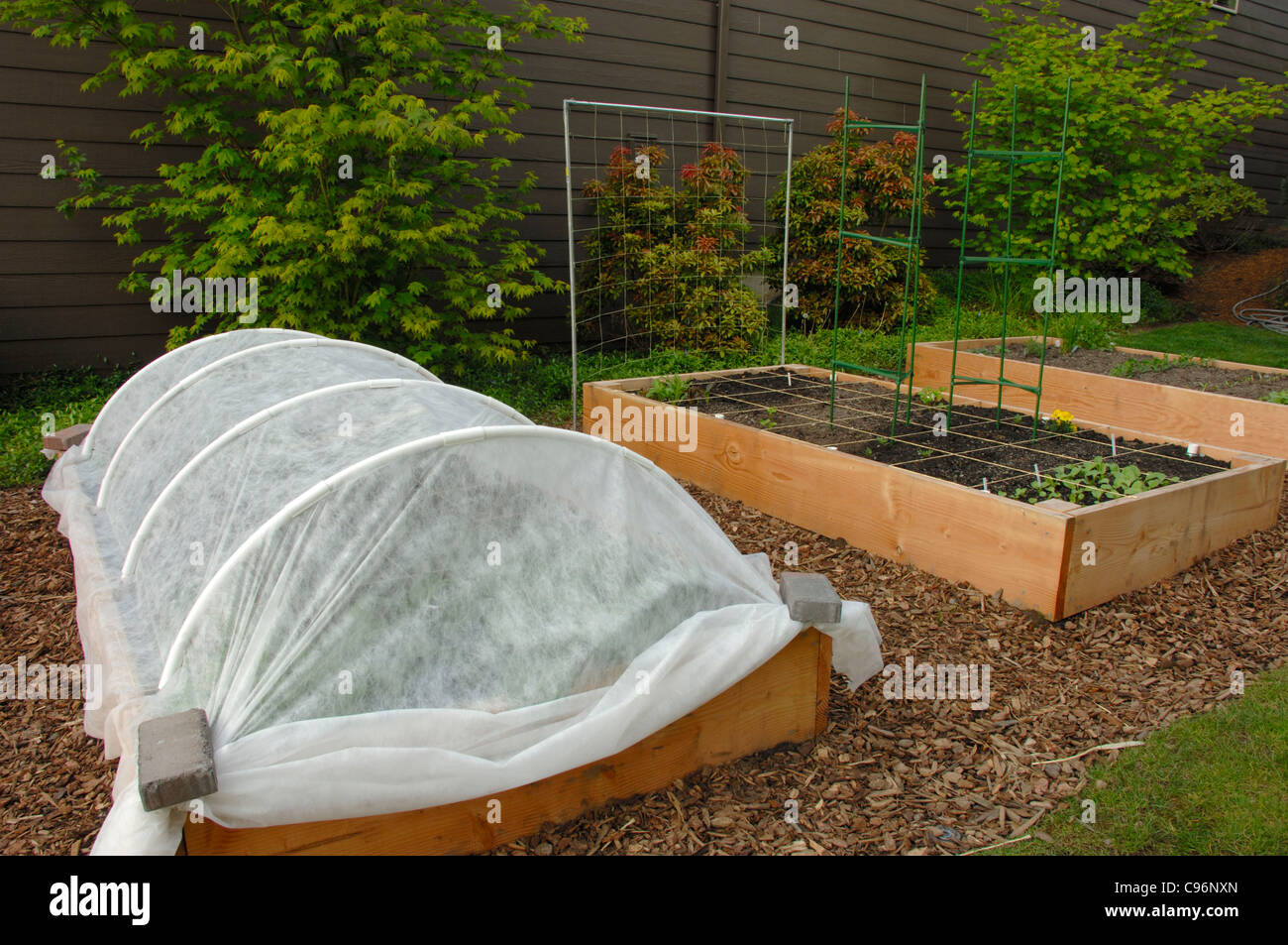 Raised garden beds Stock Photo Alamy
