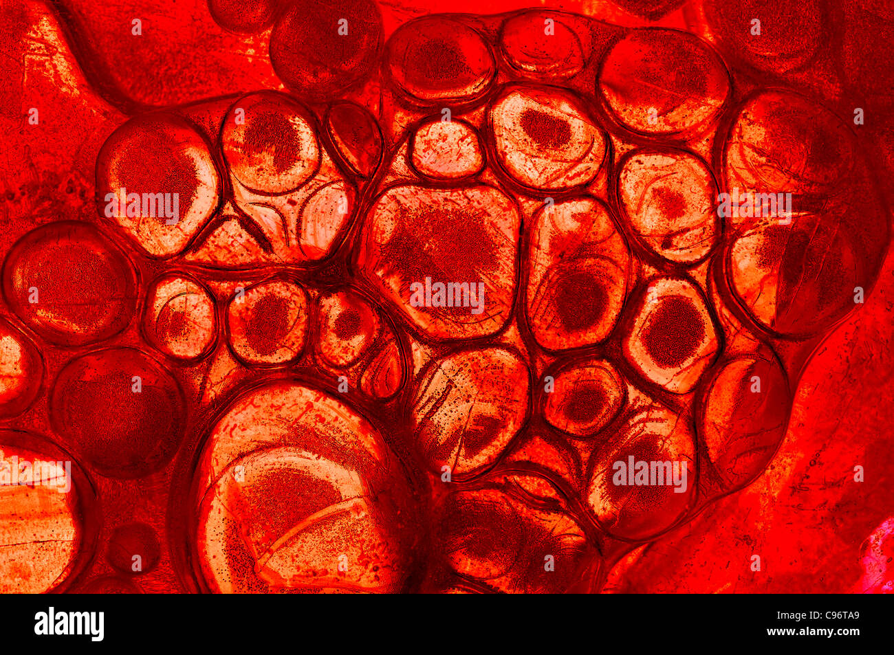 what is inorganic matter