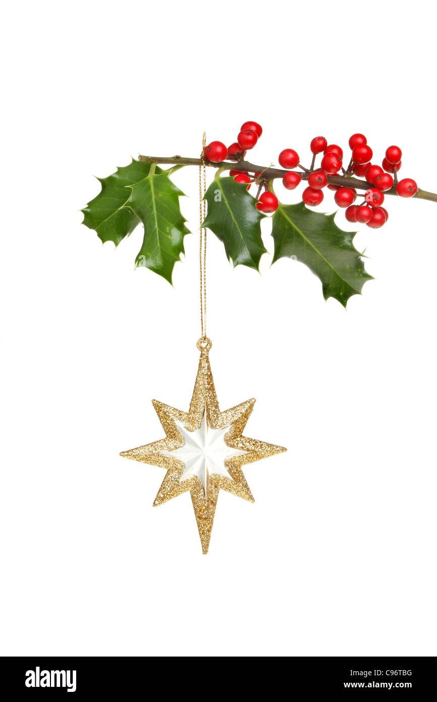 Gold Christmas star decoration hanging from a holly branch with red ...