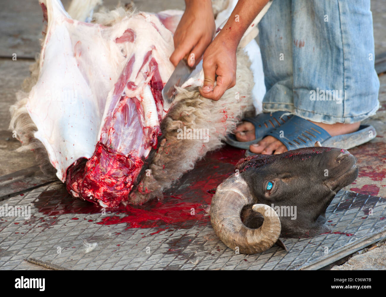 Sheep being slaughtered in the traditional way for the muslim holy festival of Eid Stock Photo