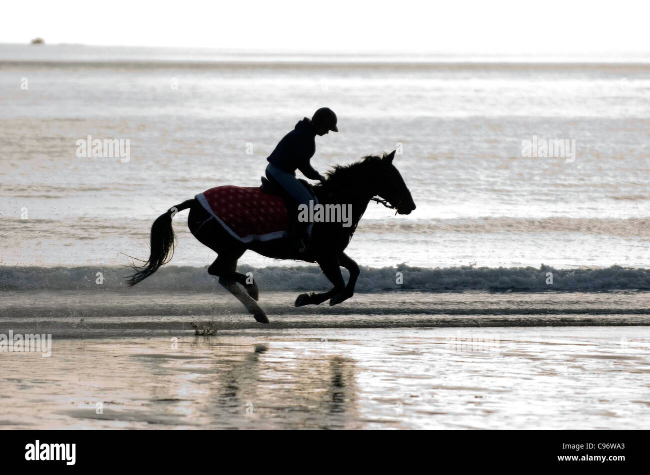 Woman horse riding canter hi-res stock photography and images - Alamy