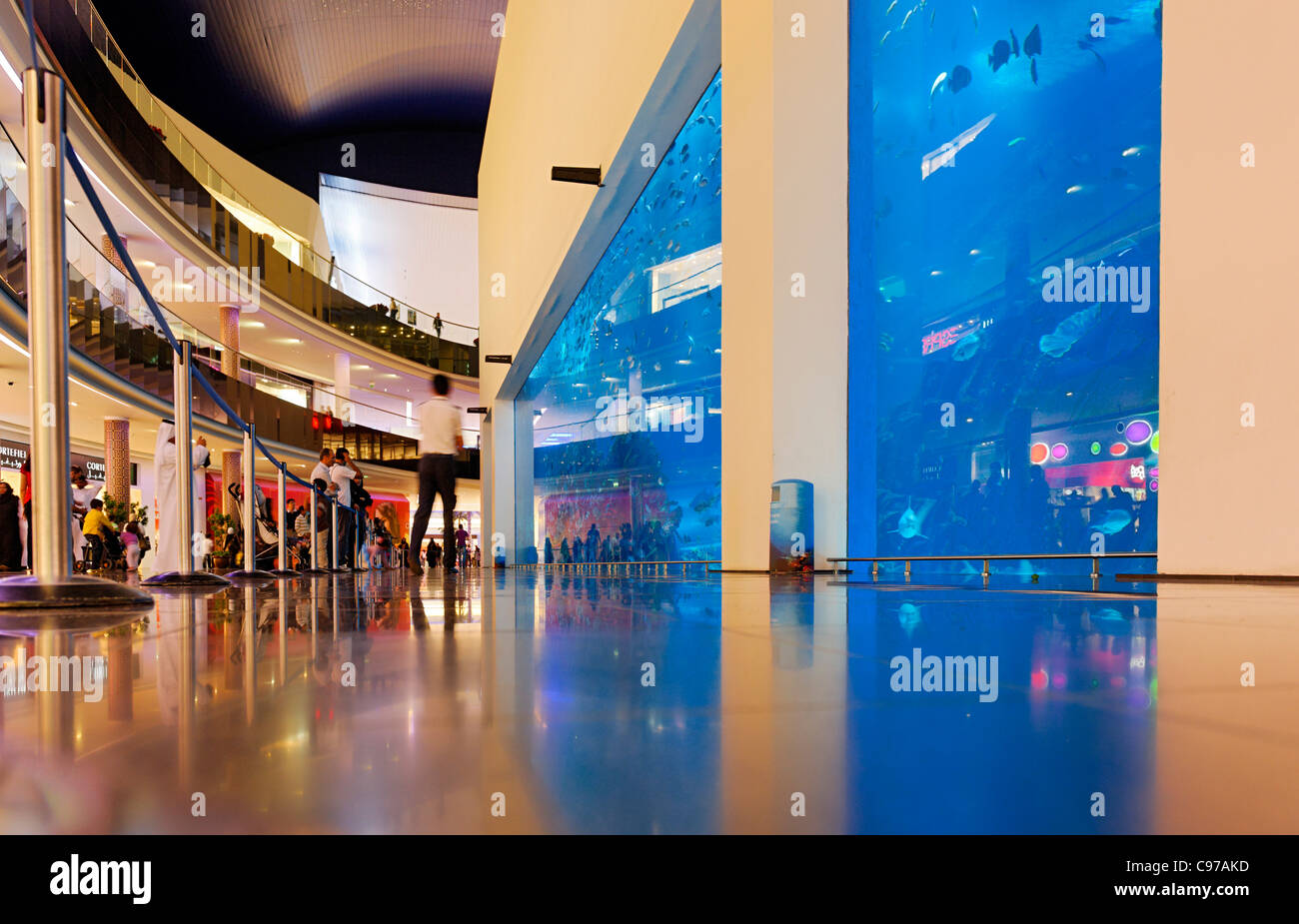 Dubai Aquarium and Underwater Zoo, saltwater aquarium in Dubai Mall