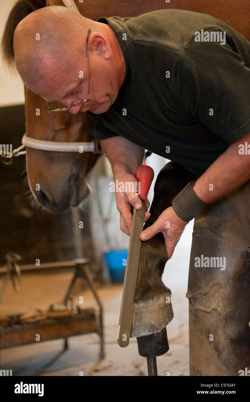 Farrier at work Stock Photo Alamy