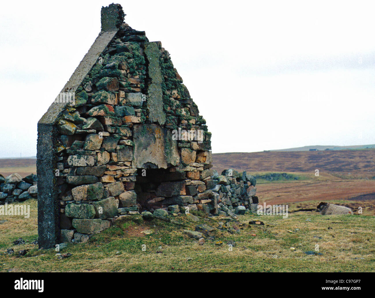 Remains of ruined croft in Shetland Stock Photo