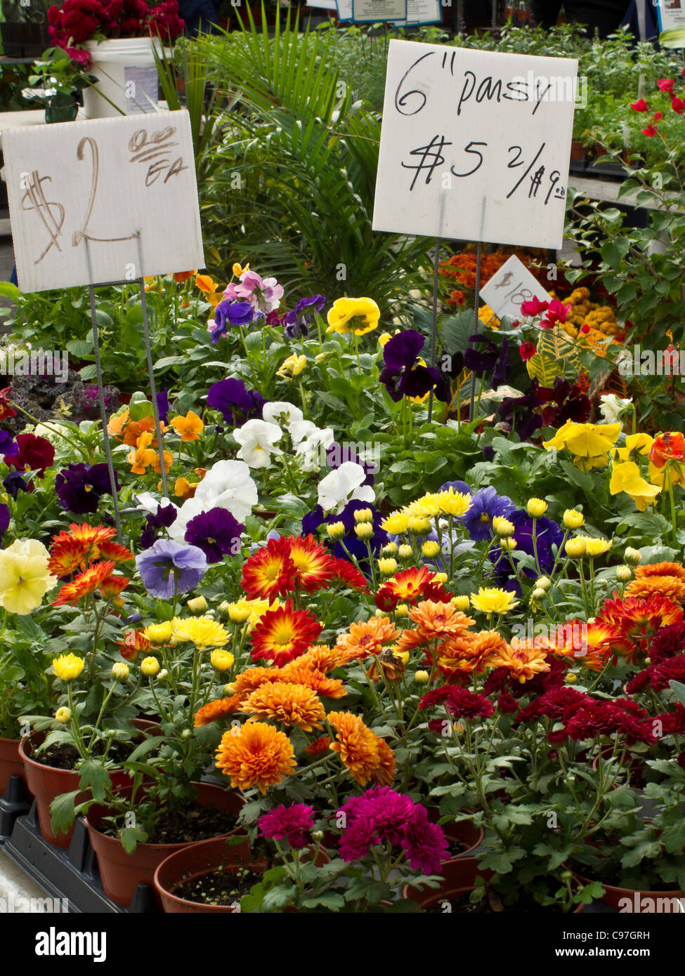 Flower Flats,Greenmarket, Union Square Stock Photo Alamy