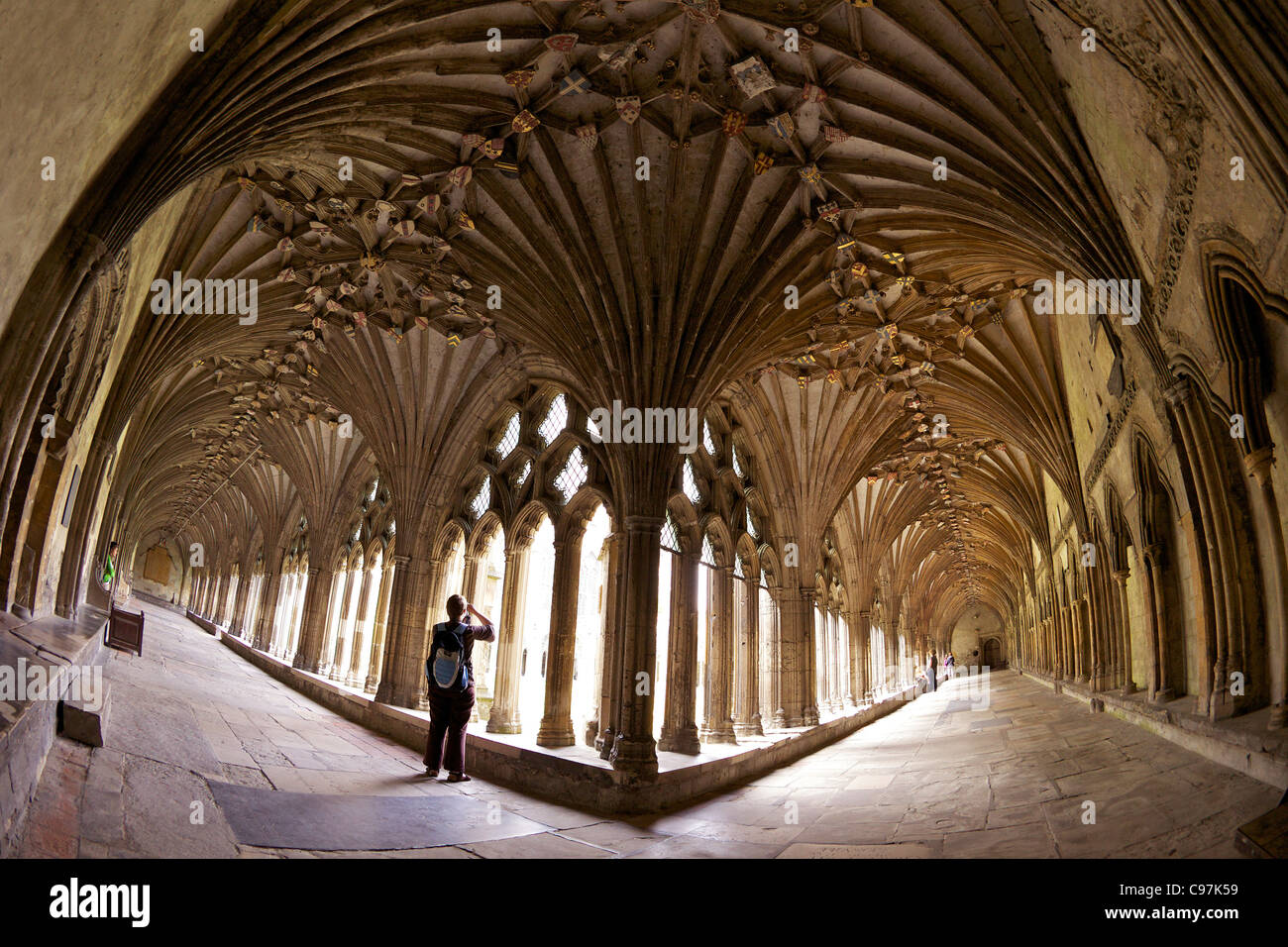 Cloisters, Canterbury Cathedral, Kent, England, UK, United Kingdom, GB, Great Britain, British Isles, Europe, Stock Photo
