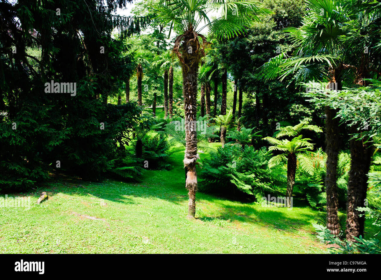 Taranto Botanic Gardens,Villa,Designed by Captain McEacharn,Scotsman 1884-1964,Palanza,Lake Maggiore,Italian Lakes,Italy Stock Photo