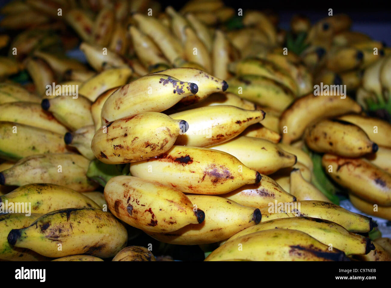 Indian Plantain High Resolution Stock Photography and Images Alamy