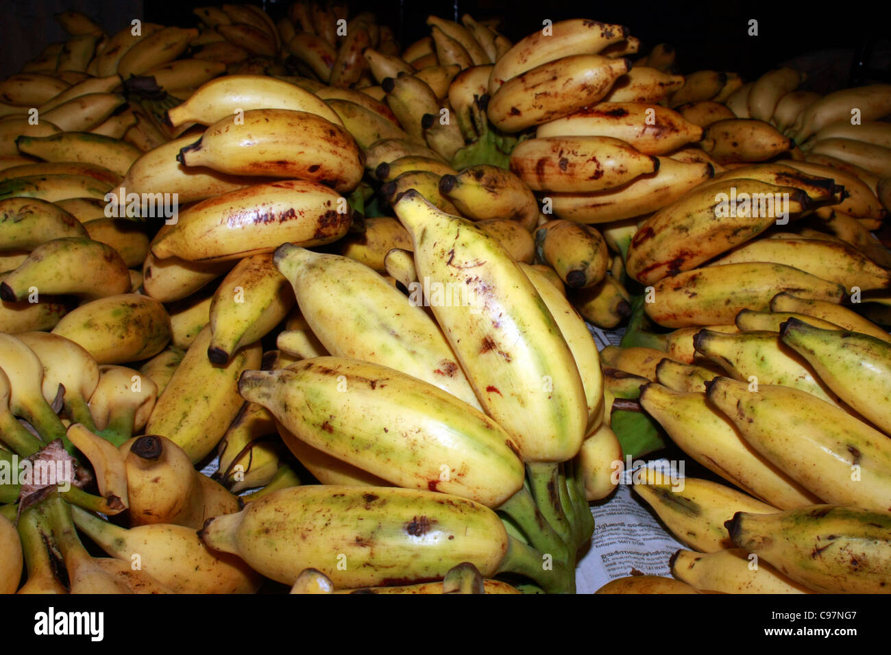 Close Up Of Bunch Of Fresh Yellow Ripe Organic Banana, Kept On Wooden Hand  Cart In The Fruit Market For Sale At Kolhapur, Maharashtra, India. Focus On  Object. No People. Stock Photo