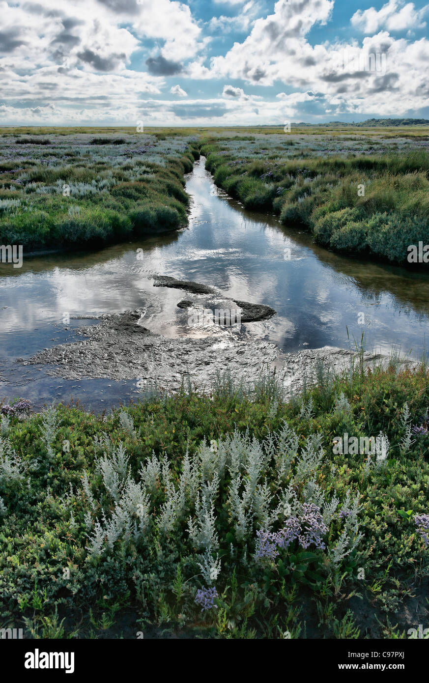 Salt Marsh, Reflection of clouds in water, Loog Settlement, North Sea Island Juist, East Frisia, Lower Saxony, Germany Stock Photo