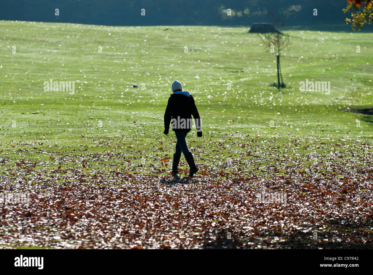 Walking through leaves hi-res stock photography and images - Alamy