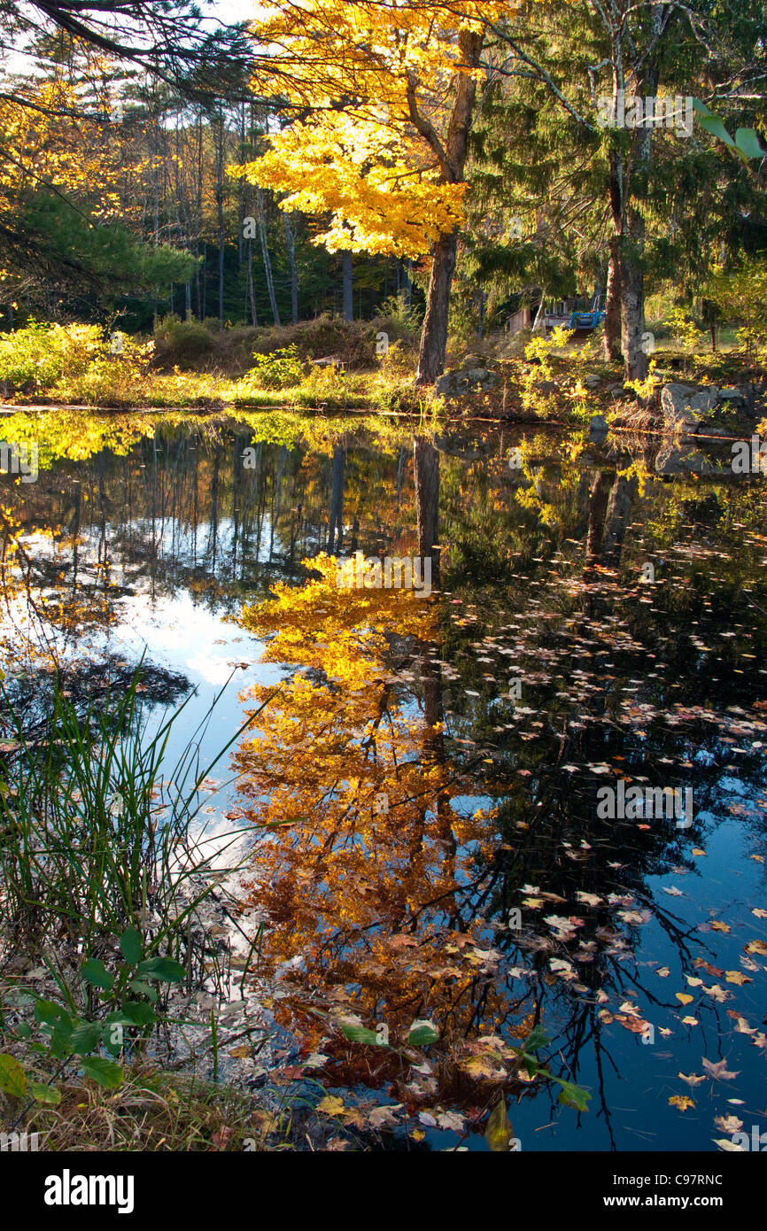 Small farm pond in the rural town of Wendell,MA Stock Photo Alamy