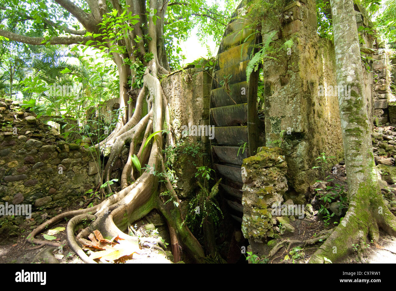 Balenbouche Estate, St. Lucia. Sugar mill ruins Stock Photo - Alamy