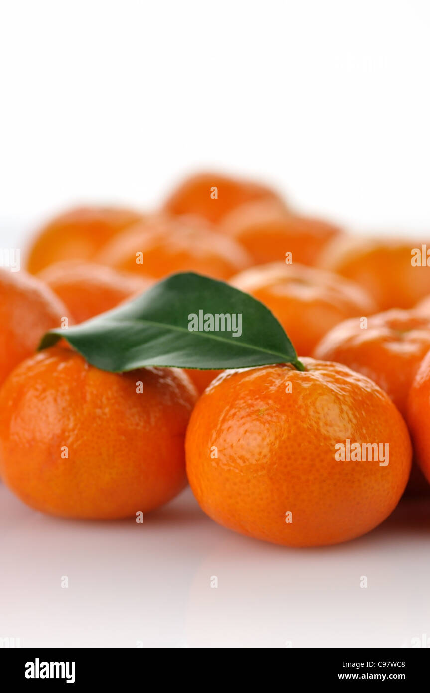 Mandarins , close up on a white background Stock Photo - Alamy