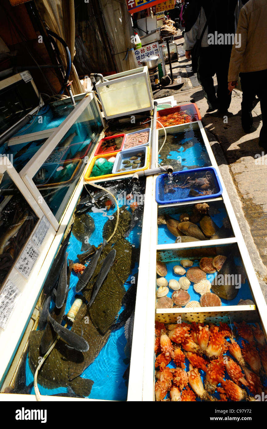 Tanks of fresh seafood at Jagalchi Fish Market, Busan, South Korea. Stock Photo