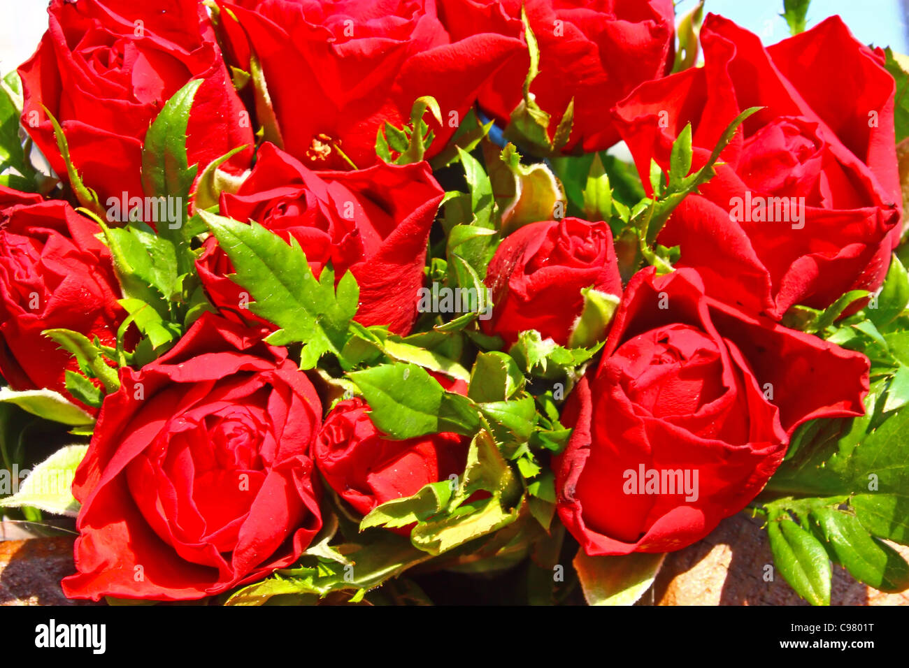 Flowers of red roses in a bouquet Stock Photo - Alamy
