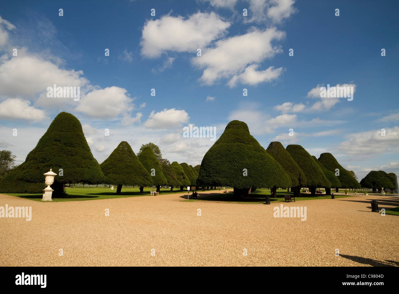 Trees in the fountain gardens, Hampton Court Palace, London Stock Photo