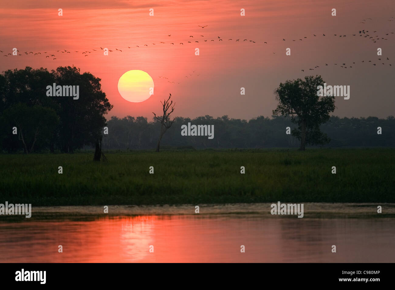 Sunset over the Yellow Water Wetlands.  Cooinda, Kakadu National Park, Northern Territory, Australia Stock Photo