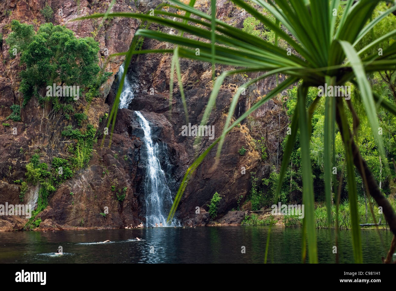 Wangi Falls - a popular waterfall surrounded by pandanus palms in Litchfield National Park, Northern Territory, Australia Stock Photo