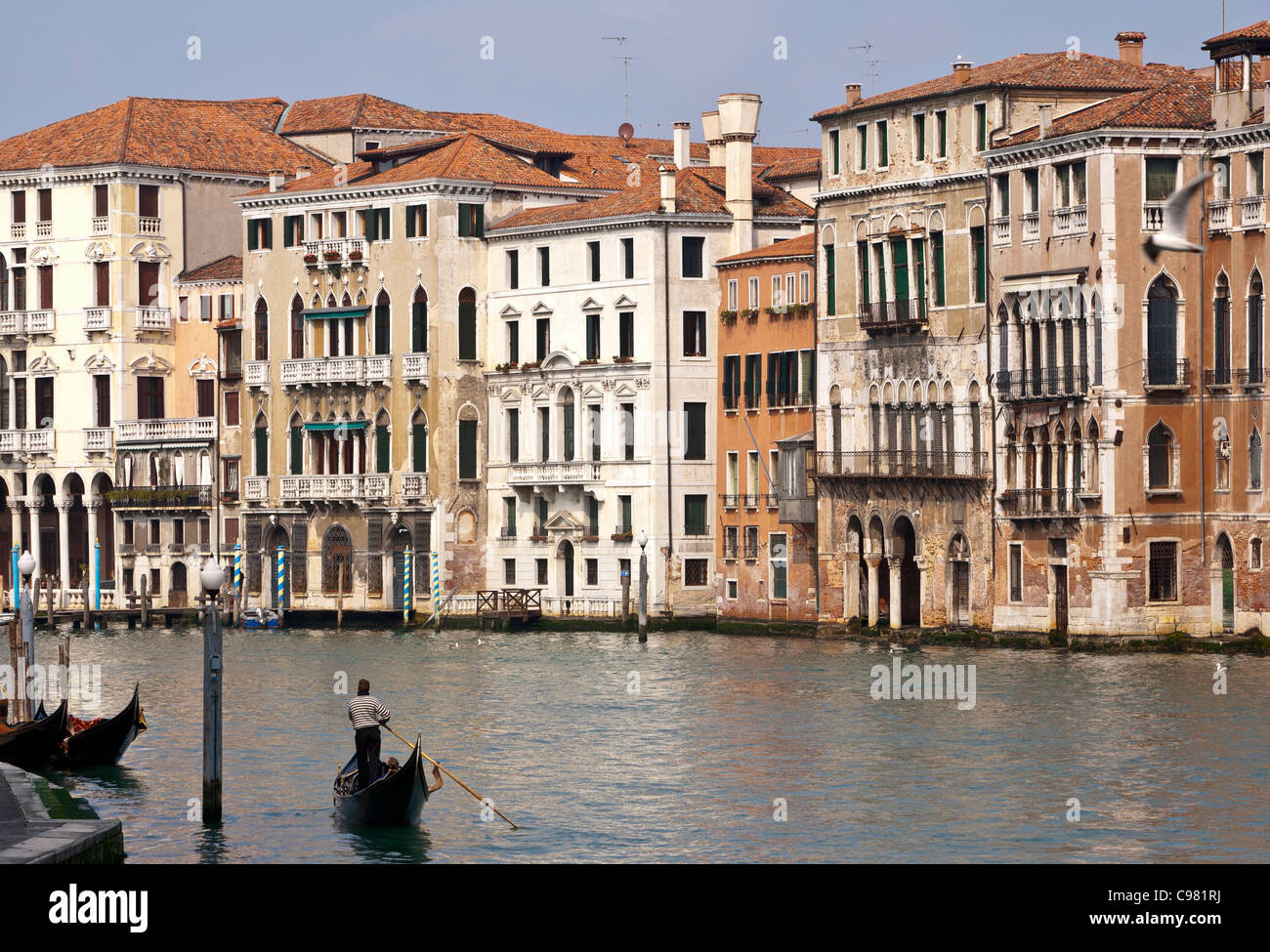 View across the Grand Canal in Venice, with the Locanda ai Santi Apostoli (a small hotel in a palace) on the left. Stock Photo