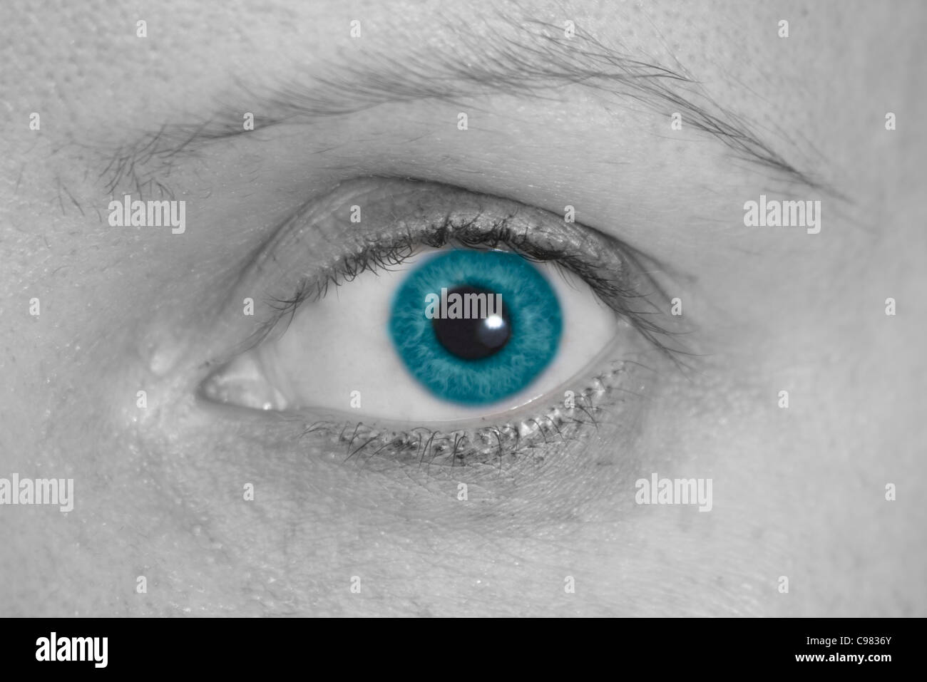 Black and white picture of eye with blue iris Stock Photo
