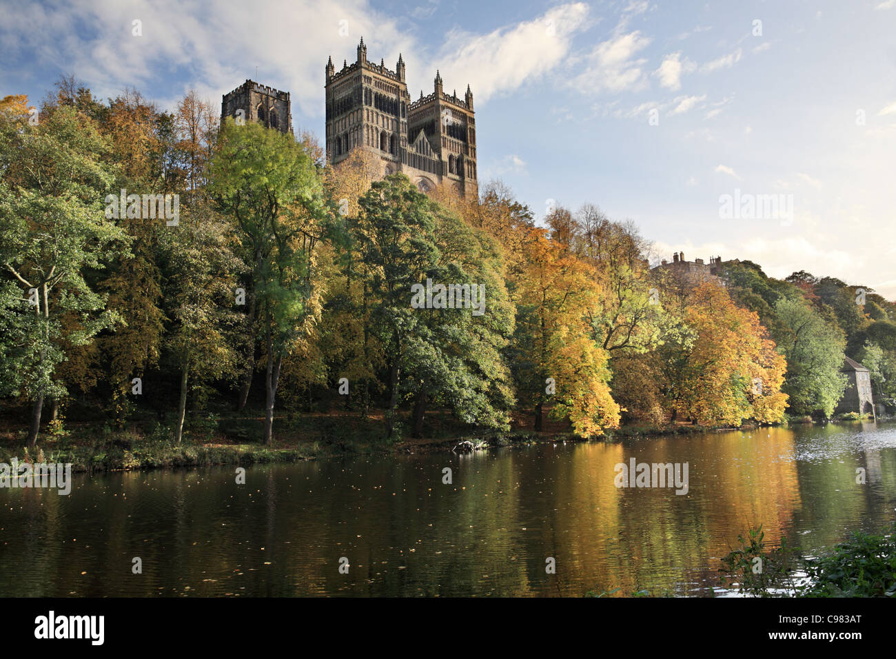 Durham cathedral from the river Wear showing autumn colour north east England UK Stock Photo