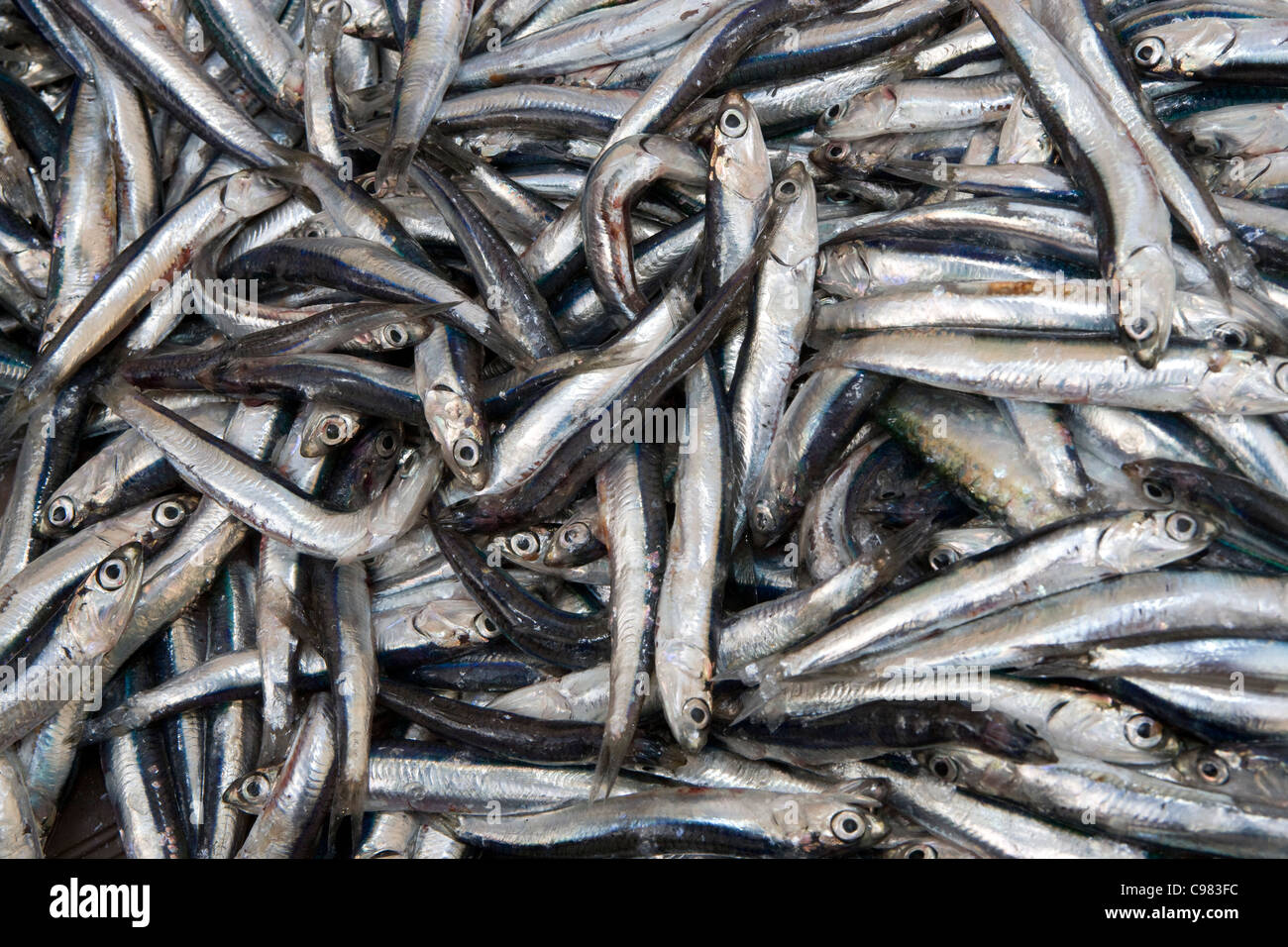 Split: fish market Stock Photo - Alamy