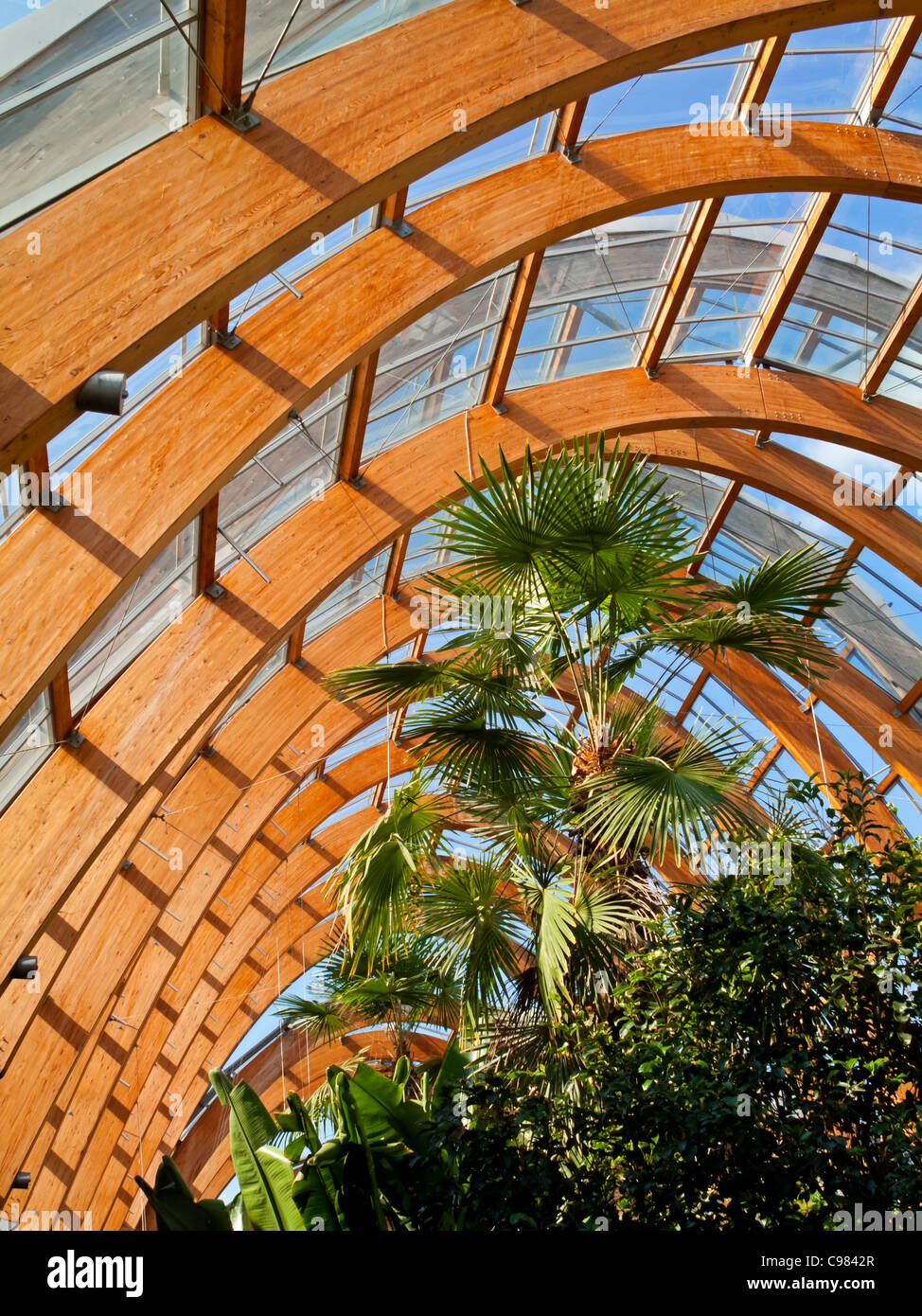 Sheffield Winter Garden South Yorkshire UK one of the largest temperate