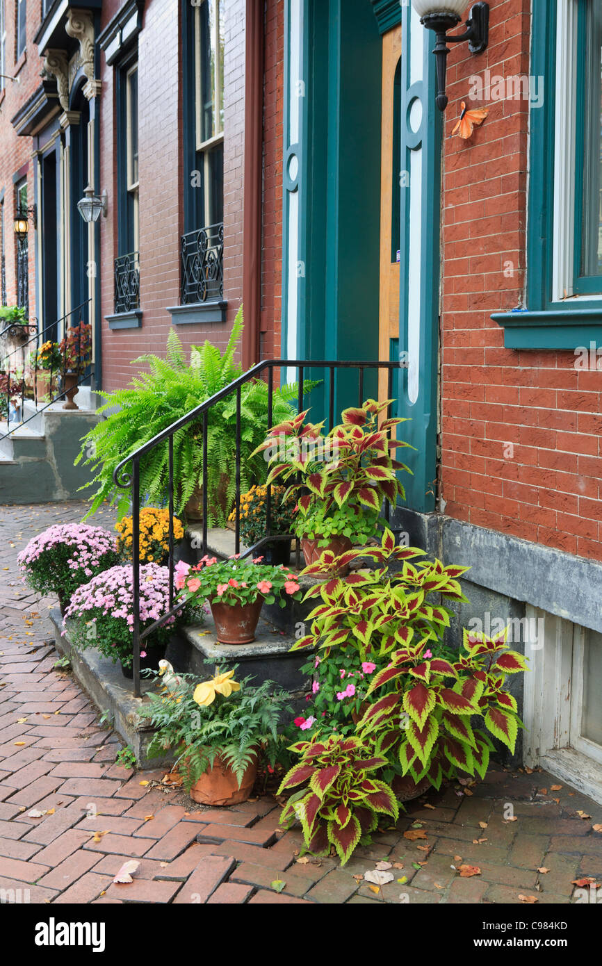 Housefronts in the Mexican Wars Streets district of Pittsburgh