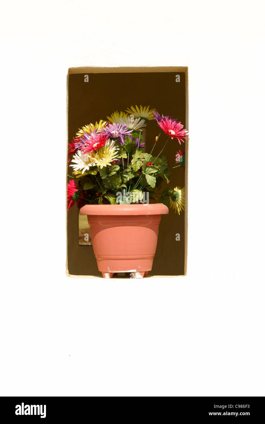 Flowers in the niche of a tomb in the town cemetery, El Quelite near Mazatlan, Sinaloa, Mexico Stock Photo