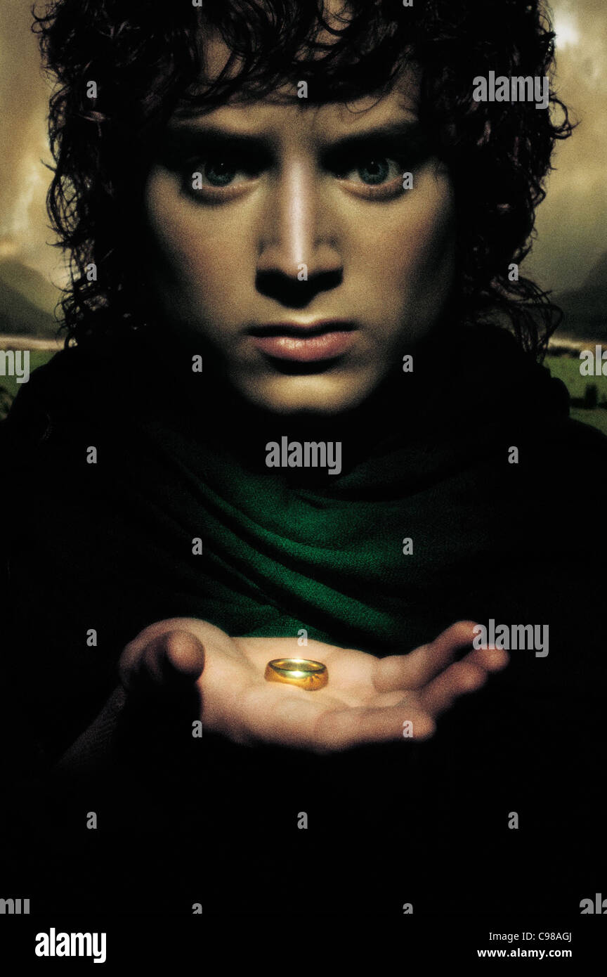 Lord Of The Rings: Fellowship Of The Ring Premium Movie Poster – MOV156, Made In USA