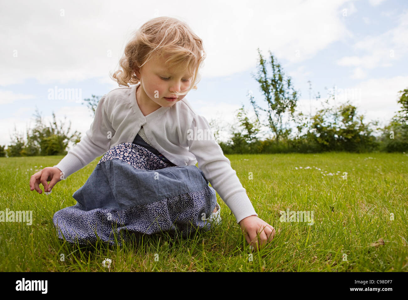 Girl picking daisies Stock Photo