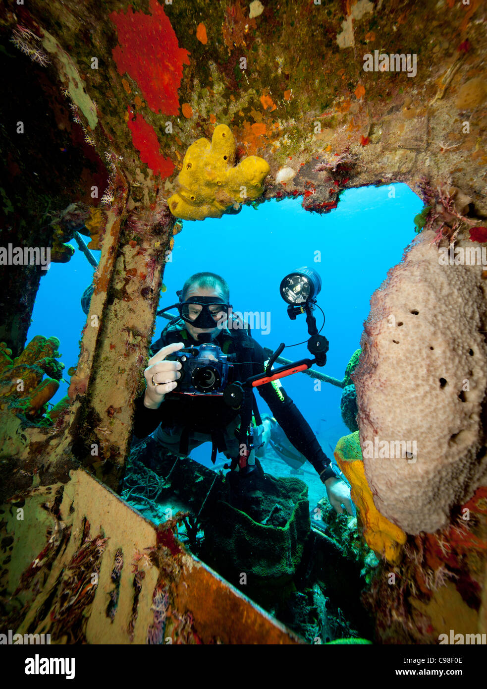 Underwater photographer on wreck Stock Photo