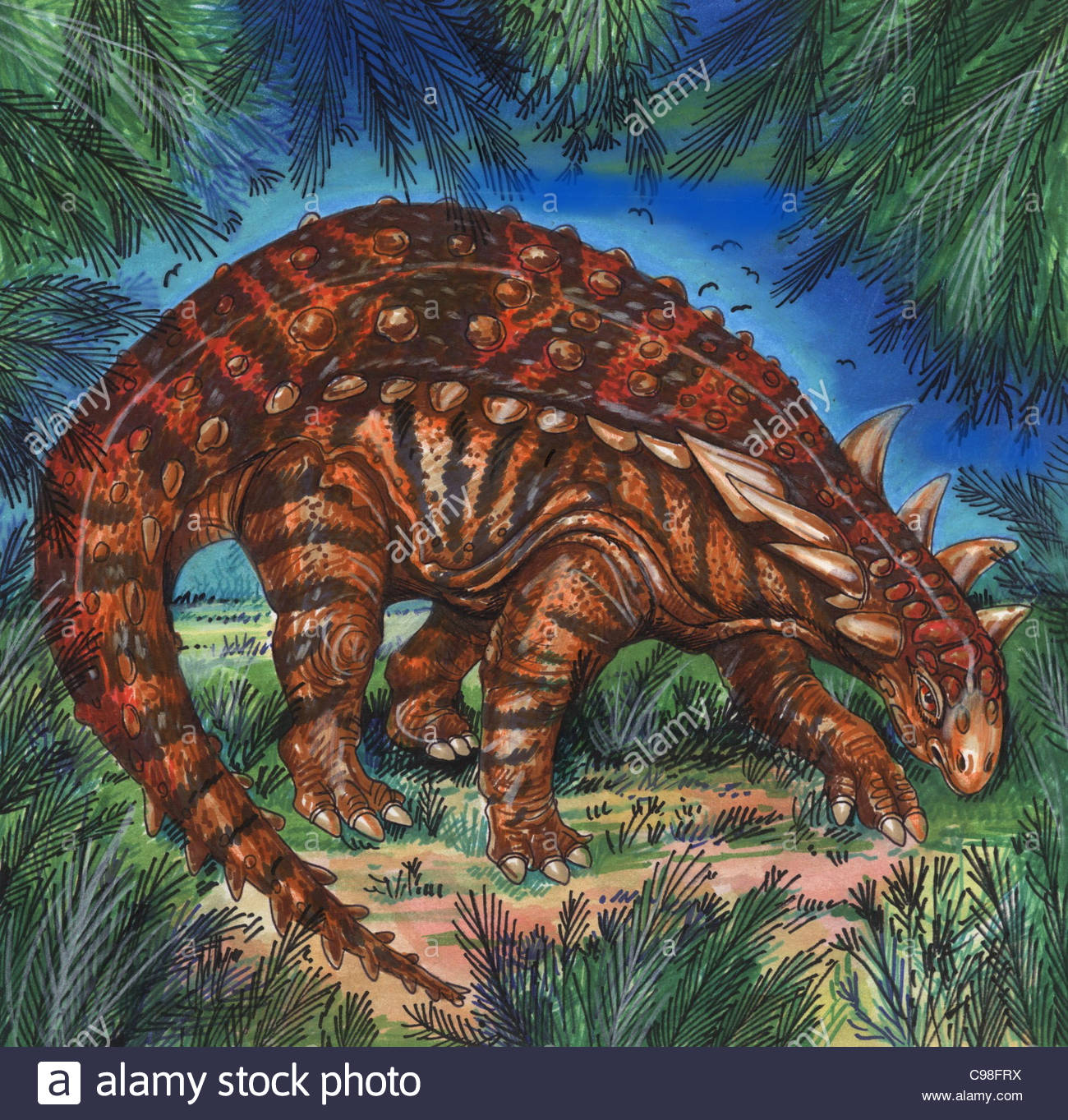 Nodosauridae Stock Photos & Nodosauridae Stock Images - Alamy