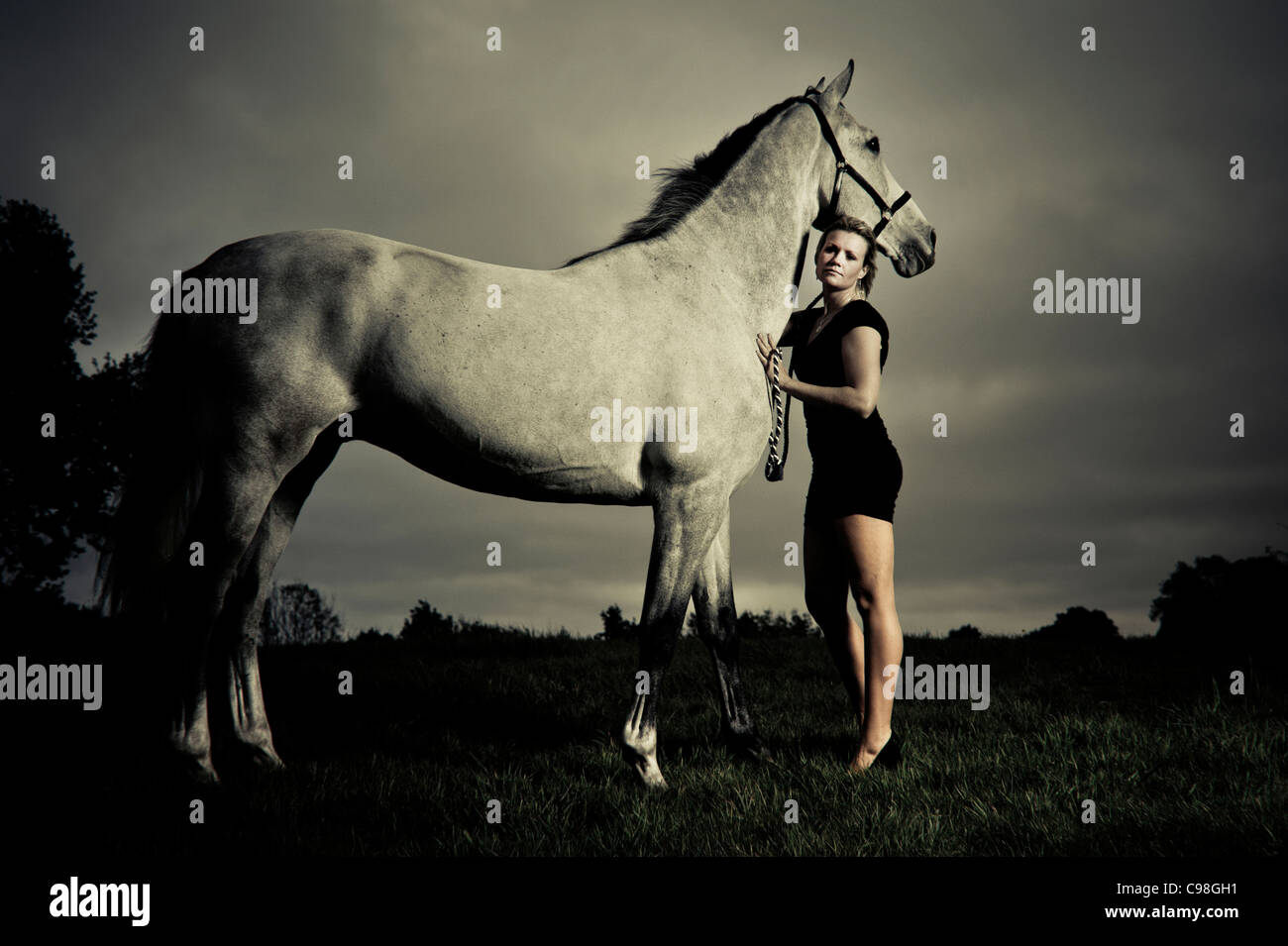 female in black dress with Grey horse evening time.landscape format.copy space. Stock Photo