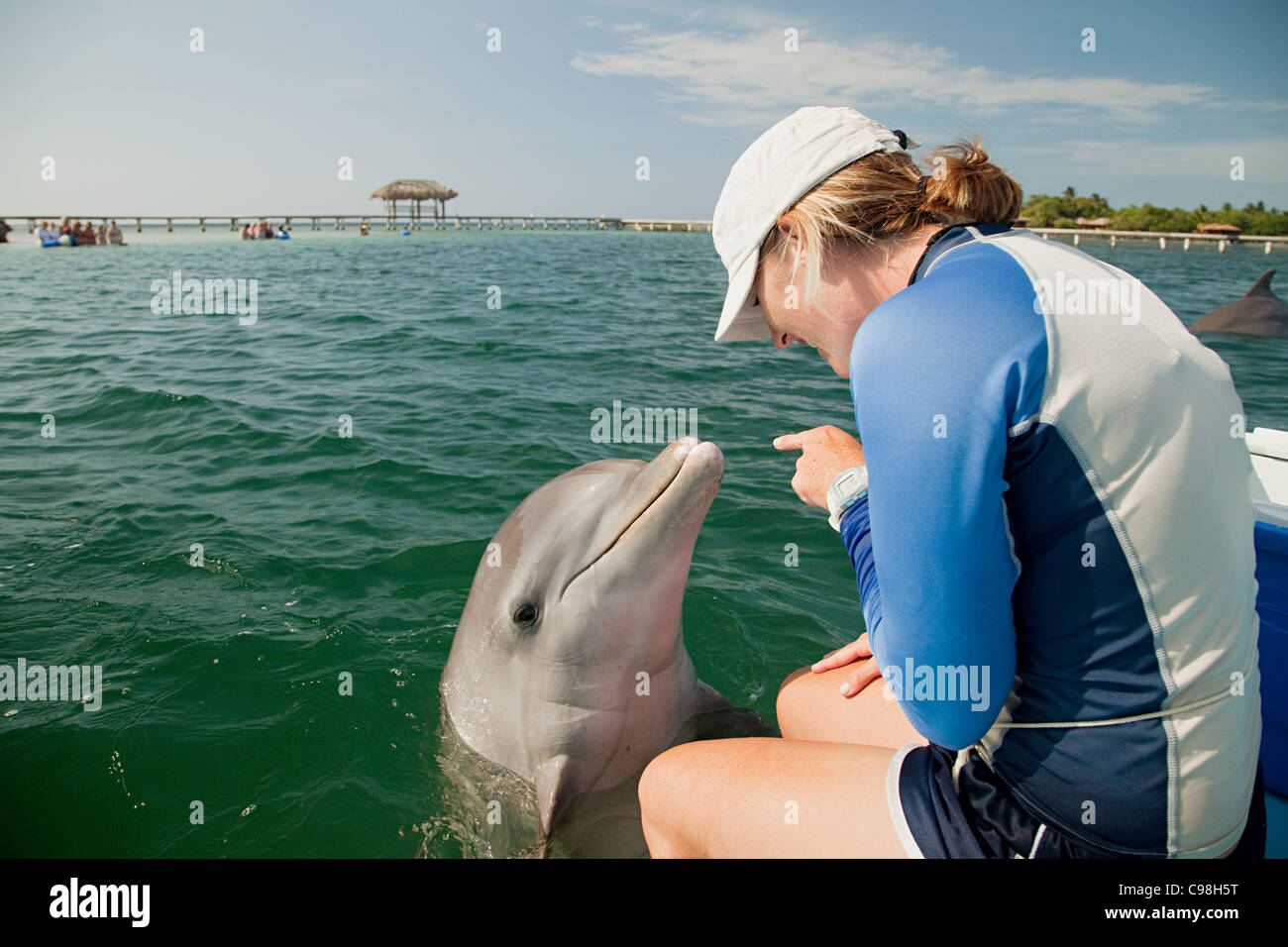 Young woman pointing bottlenose dolphin Stock Photo