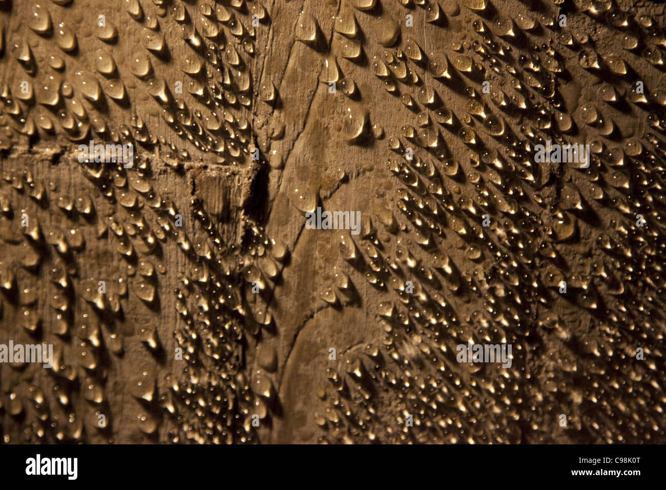 Colour photo of water droplets/condensation, on the wood ceiling in an