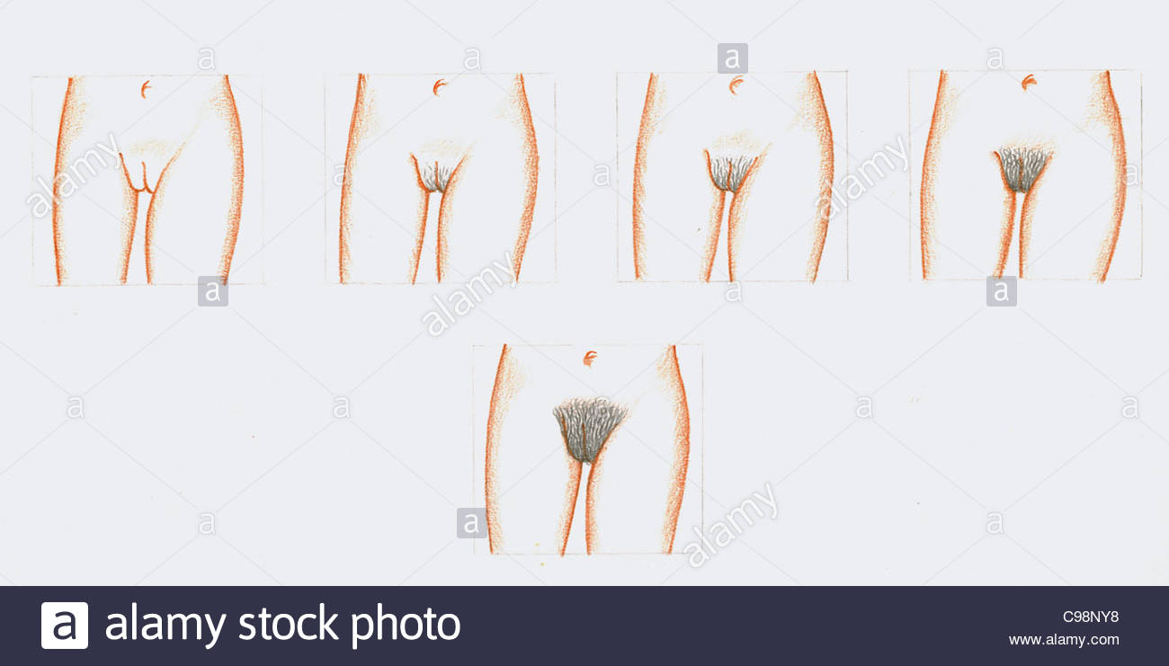 The excellent Girls pubic hair with Girls pubic hair any