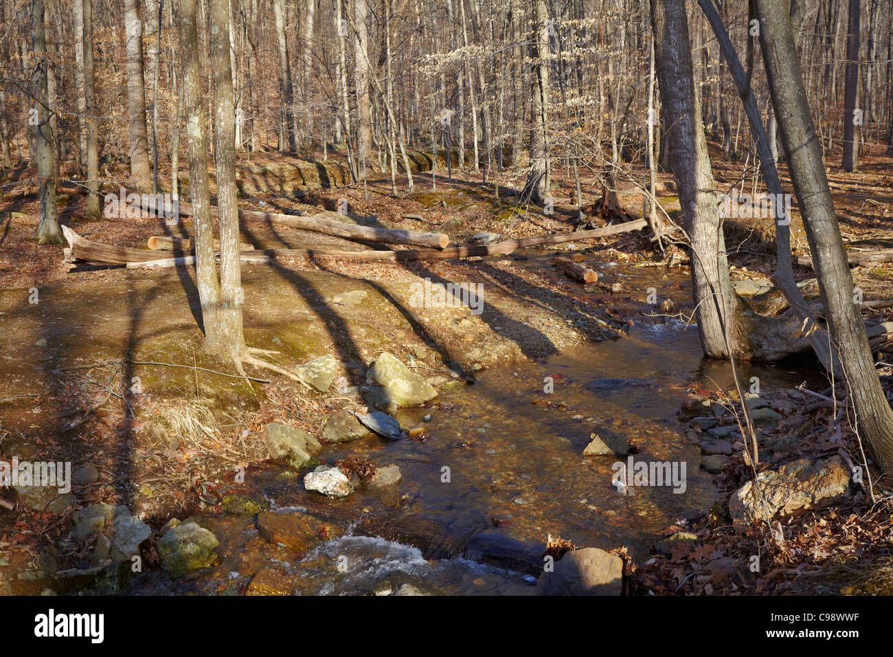 Looking northwest from Whiskey Run, Catoctin Mountain Park, Maryland. Stock Photo