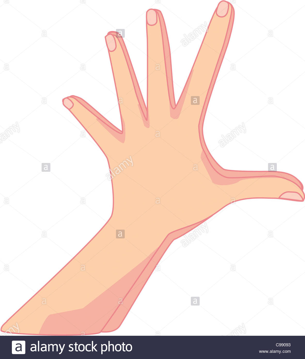 aging anti yoga mudra Hand Hand Mudras & Photos Stock Gestures Mudras Gestures
